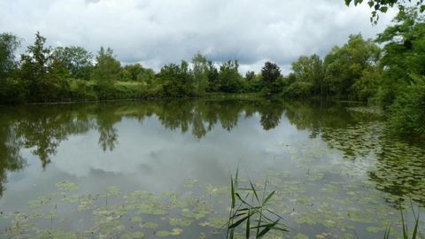 For sale: Property with two fishing ponds near Soissons Discover a tranquil property with two fishing ponds near Soissons, ideal for family leisure and fishing enthusiasts! This picturesque property is located in a village just 15 minutes from the ce...