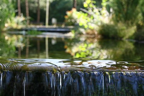 It's a beautiful sight: a thatched home situated by a beautiful pond. The nice covered veranda, which looks like it floats above the water, is the eye-catcher. It's the perfect fit for the natural surrounding of the holiday park. The interior and fur...