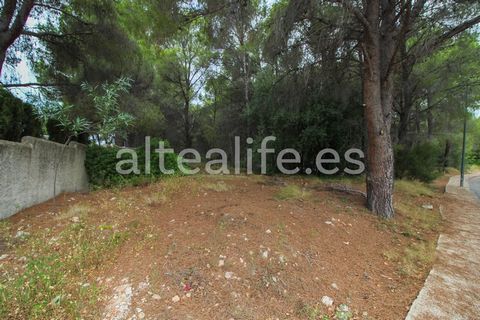 Urban plot of 1074 m² , located in the area of Santa Clara , just 5 minutes by car from Altea la Vieja , where you will find all essential services, and 10 minutes from Playa de la Olla . Characteristics of the plot: Flat terrain, without slope . Wat...