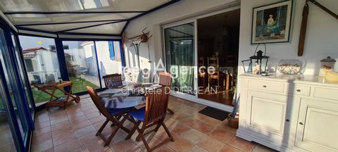 photo no. 11