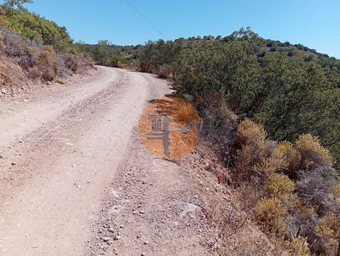 Rustic land, near Santa Catarina da Fonte do Bispo, west sun exposure, mostly covered with barocal bush, carob trees, olive trees and cork oaks. It has a well with water, a reservoir tank of it. It is crossed by two dirt paths, which makes it easier ...