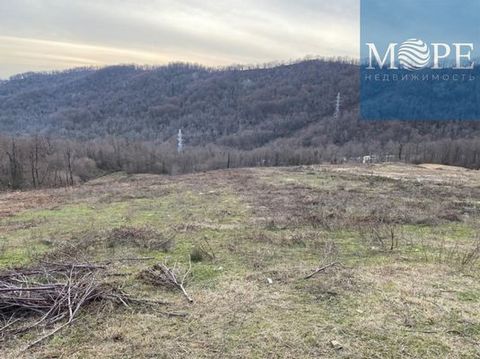 Адлерский район. Липники. Хороший видовой участок под коттеджный городок.Прекрасные видовые характеристики Подъезд до участка бетонный. Коммуникации все по границе.Номер объекта: #5/546484/11901 #5826042#