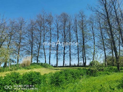 photo no. 9