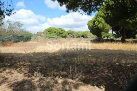 Land inserted in a tourist area. Close to all services and with easy access. The land has a total area of ??2175 m2 and is fully fenced. Quarteira for centuries was an important, but modest fishing village, as its length of beach with more than 3 km,...