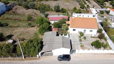 Just over an hour from Lisbon and 3 km from Entroncamento you will find this ideal farm for those looking for a property in the countryside with good housing conditions, space for outdoor activities and potential for the development of tourist, agric...