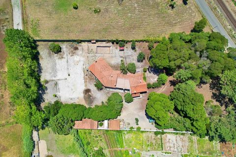 Unique 5 Bedroom Farm in Campo, Caldas da Rainha: A Haven of Serenity 10 Minutes from the Beach We present a rare opportunity to acquire a charming farm in Campo, Caldas da Rainha, located just 10 minutes from the stunning beaches of São Martinho do ...