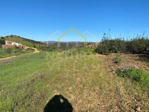 Propriété avec Légère Pente, à 10 Minutes de Tavira Terrain rustique de 2.411m², situé dans une zone paisible et d'une grande beauté naturelle, offrant une vue panoramique à 360º sur la serra. Avec une légère pente et la présence de figuiers, cette p...