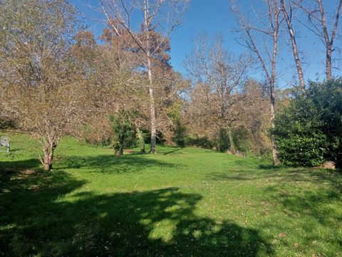 photo no. 2