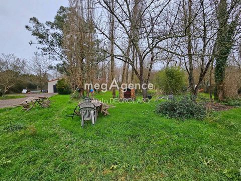 photo no. 10
