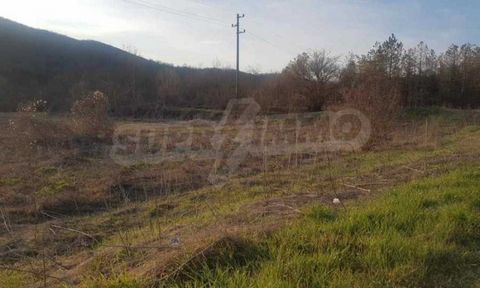 SUPRIMMO Agency: ... We present for sale 15000 m² of land, located in close proximity to the village of Batovo, Batovo Reserve. The plots are suitable for investment, for the construction of industrial halls and buildings, for the construction of log...