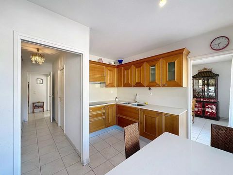 photo no. 12