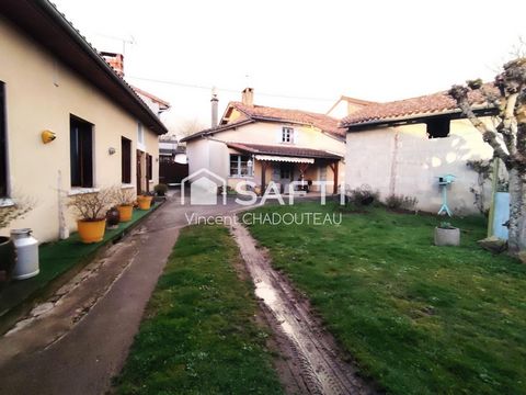 photo no. 3