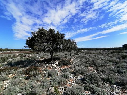 Location: Primorsko-goranska županija, Mali Lošinj, Osor. ID CODE: 2330 Darko Milneršić Organizator kupoprodaje nekretnina Mob: +385 (0) 95 862 2365 Tel: +385 (0) 51 498 068 E-mail: darko@exclusive-nekretnine.hr www.exclusive-nekretnine.hr