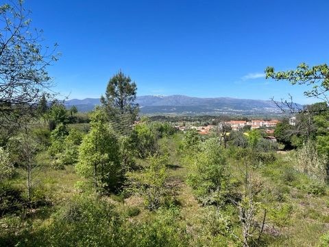 Deux parcelles de terrain, d’une superficie totale de 44 237 m2, dans le centre d’Aldeia de Joanes, à Fundão. Avec une bonne infrastructure et un bon accès, il présente plusieurs possibilités d’aménagement. Selon le PDM de Fundão, le terrain est clas...