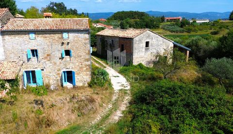 Location: Istarska županija, Cerovlje, Cerovlje. Cerovlje, surroundings, property with two stone houses and olive groves Located in a quiet location, this wonderful property is surrounded by only a few houses, providing perfect privacy for those look...