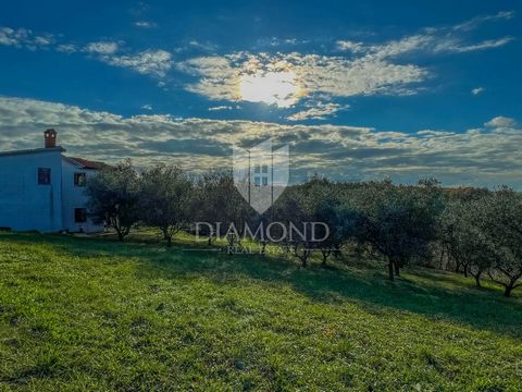 Location: Istarska županija, Vižinada, Vižinada. Istria, Vižinada Building land with open views for sale in Vižinada. The land area is 605 m2. The purpose of the land is residential. Right next to the land is all the necessary infrastructure. Nearby ...