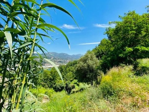 LAST LOT!! CARROS - LE BROC, in a small housing estate, located 10' by car from the business parks of Le Broc and Carros, 40' from the airport and Nice Centre, sells serviced land of 377 M2, located in a dominant position offering unobstructed views ...