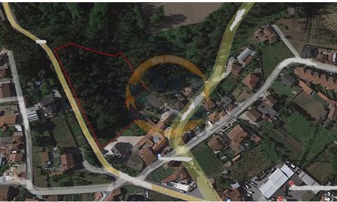 Terreno localizado em Pinheiro da Bemposta no Concelho de Oliveira de Azeméis!!! Terreno inscrito na matriz com a área de 9300 m2. Terreno inserido em área Florestal. A sua localização é favorecida pela aproximação ao centro da freguesia, assim pelos...