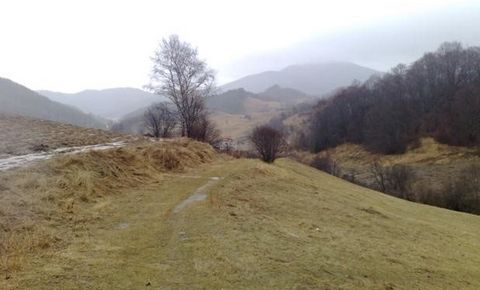 TEL: ... ; 0301 69999 /WIR BIETEN LANDWIRTSCHAFTLICHE FLÄCHEN MIT DER MÖGLICHKEIT DER REGULIERUNG / UNTERSTÜTZUNG VON UNS / IM GEBIET DES DORFES ARDA, RICHTUNG GORNA ARDA, AN, WO DIE ERÖFFNUNG DES NEUEN GRENZÜBERGANGS ARDA - PARANESTI BEVORSTEHT. DAS...