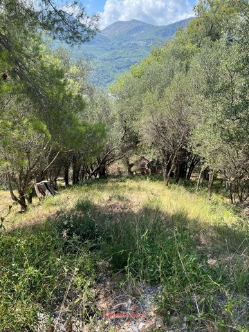 SAINT-MARTIN DU VAR: Building plot with a surface area of 1026.40 m2 sold with building permit for villa on two levels of housing with a surface area of 125 m2 with 3 parking spaces. Viability (water, electricity, mains drainage) nearby. For any info...