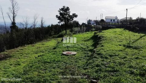 Sale of land for construction, Nogueira, Viana do Castelo. Land with about 3000m². Situated in quiet area and with bosn accesses. Great views. Ref.:VCM12879 FEATURES: Land Area: 2 500 m2 Area: 2 500 m2 Useful Area: 2 500 m2 Energy Efficiency: Exempt ...