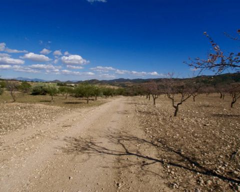 Beautiful plot of land for sale in La Parroquia - Lorca (Murcia) If you are a country and rustic lover, we offer you this beautiful plot of land for sale in La Parroquia, north of Lorca (Murcia). This property is an ideal land to build the house that...