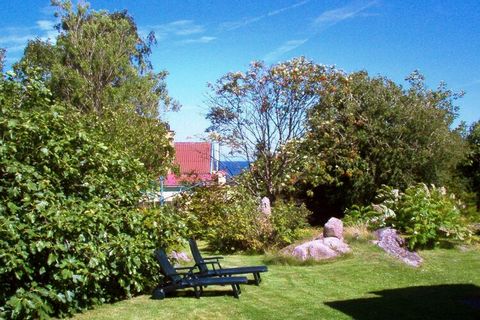 Between Allinge and Sandvig in the northern part of Bornholm you will find this double house with two nice, secluded holiday apartments with partial sea view. The house has been decorated in an interesting way by an artist, and there are many of his ...