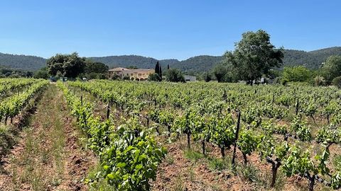 Property in AOP and IGP Provence of 64 hectares including 27 hectares in rent. Very good situation for direct sales. Beautiful production tool composed of a very large cellar with the material necessary for the rosé, white and red vinification. The p...