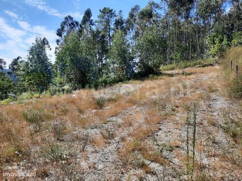Land for construction with 1,800 m2 in Travassós Land for construction with 1,800 m2 near the center of the parish of Travassós, good access, is 200 m from EN 207. Excellent sun exposure and views, ideal for individual villa construction with excelle...