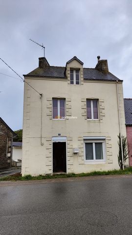 House to renovate comprising a kitchen with a fireplace, a room with a shower room and toilet. Upstairs there is a bedroom and attic. All on a 101 M2 terrin. IDEAL 1ST ACQUISITION OR INVESTOR.