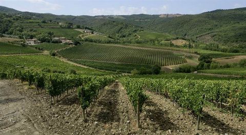 MONTALCINO (SI): a few km from Montalcino, Winery of about 21 hectares composed as follows : * 7.66 hectares of vineyard with Brunello di Montalcino D.O.C.G. denomination. * 3.75 hectares of vineyard with Rosso di Montalcino D.O.C. denomination. * 4....