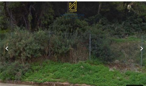 For sale, Land plot, in Saronida. The Land plot is Εven and Βuildable, For development, Inclined, Dual-sided, Fenced, With electricity supply, With water supply, With Facade, it has 25 m. facade length, 30 m. depth, the building factor is 0,5 and the...
