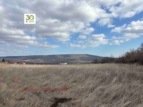 Listing for sale of two neighboring plots in the village of Rogachevo.The location is 25 km north of the town of Rogachevo. Varna and 4 km from Albena, Dobrich region. Size - Plot 1: 717 sq.m - Plot 2: 479 sq.m Suitable for residential construction. ...