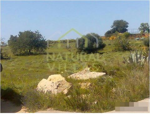 Tranquil property with flat terrain, excellent access, and numerous possibilities for diverse projects! Explore this rustic land located 1km from National Road EN125, in São João da Venda, Almancil. With a generous total area of 7,541m2, this land of...