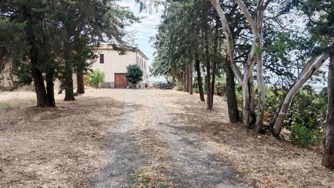 On a plot of approx. 1,000 m² stands this residential and tool house of a former large agricultural business, which is in need of renovation. It is open in all four directions and impresses not only with its view of the Lago di Santa Luce but also wi...