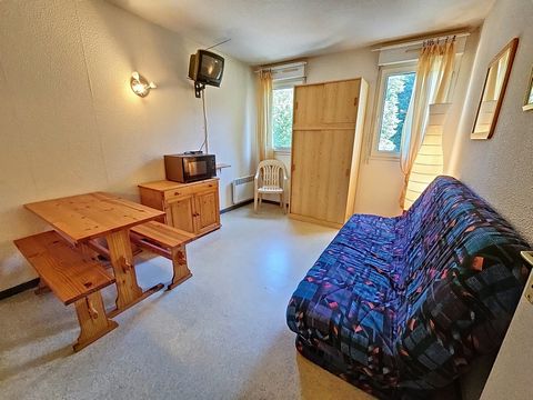 Come and discover this studio located in a small village where you can enjoy the thermal baths, the accro banche... Also the ski resort of Guzet is nearby. Its location is perfect for nature lovers, at the foot of the residence you will have access t...
