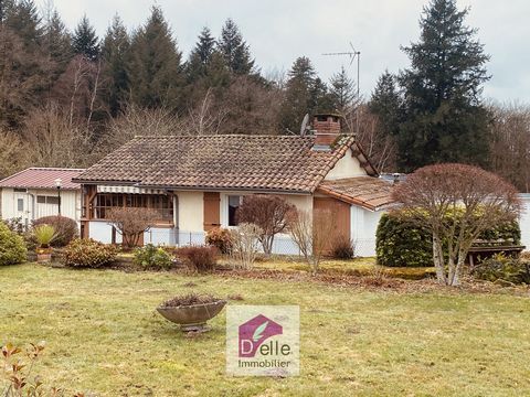 Between VERNEUIL SUR VIENNE and VEYRAC Single storey house on an adjoining plot of 1265m2 and 3867m2. It includes a living room with open fireplace, a bedroom with shower room, a kitchen area, a toilet, a pantry and various roofs. Features: - Terrace