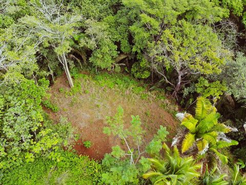 Looking for a little piece of paradise  to build your new home in a quiet area surrounded by typical costa rican trees, at only 2.5 kms from Samara center and beach? Come and discover this beautiful lot for sale. This lot measures  5026 square meters...