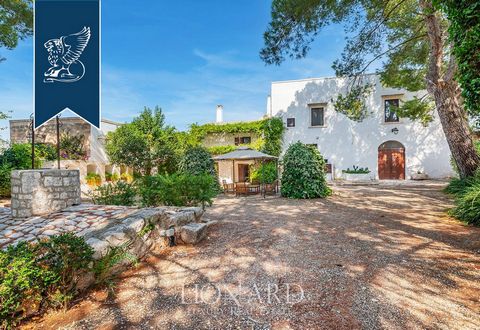 In Apulia, a farm house of building the eighteenth century with a pool, citrus grove and arches made of white tufo is sold. Conversed is a small town in the province of Bari, Domin origin, located in the heart of the Apulian rural area, at the gate t...