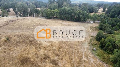 3 plots for sale in Lumaco sector, 15 km from the city of Osorno, on the way to the commune of San Juan de la Costa - Route U-40. The plots are of soft hills, on the banks of an asphalted public road, they have well water and electricity. Plan approv...