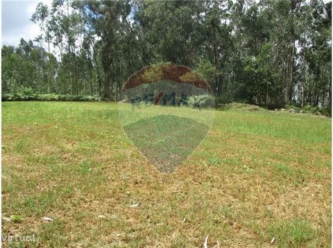 Land for cultivation located in the parish of Faria, municipality of Barcelos.   Property with approximately 6,500m2 of fertile agricultural land, just a few minutes from the center of the parish.   Terrain features: Flat terrain; Good access; Excell...