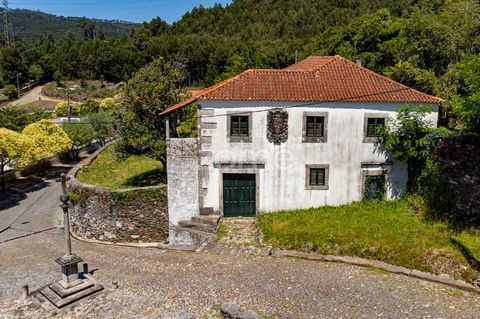 Identificação do imóvel: ZMPT564278 FEATURES: - An area of 205m2, spread across two floors - Abundant natural light due to windows incorporated in almost all rooms of the property. - Interior comprises Ground Floor: Includes a cellar/storage with amp...