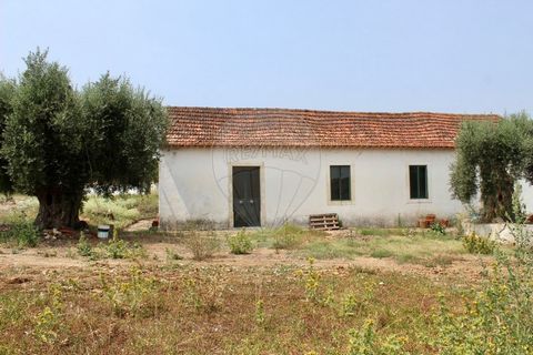 In the district and municipality of Santarém, more specifically in the parish of São Vicente do Paúl and Vale de Figueira you can find this farm located in a unique place. Of pleasant areas, as they have 53,860m2 of total area, 150m2 of which are res...