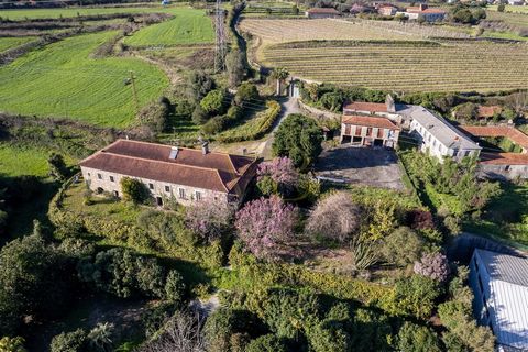 Former Monastery with more than 950 years, located in the city of Santo Tirso, northern region of Portugal. With a total area of approximately 13 hectares, this property offers a great investment opportunity. The property has a granite main house and...