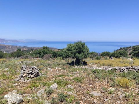 Located in Agios Nikolaos. This particular plot has a total building capacity of 2080 m2 (basement not included) and is suitable for residential development. It is a corner plot, having access to a municipal road of about 130 m, giving us the possibi...