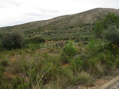 Bent u op zoek naar grond te koop in Macastre? Uitstekende gelegenheid om dit perceel te koop te verwerven met een oppervlakte van 705 m² gelegen in de stad Macastre, provincie Valencia. Het heeft een goede toegang en is goed verbonden. Wil je meer i...