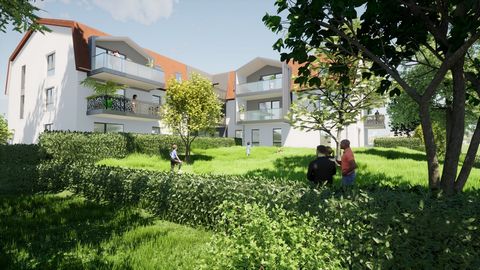 ENSISHEIM 2 pièces :Découvrez ce nouveau projet immobilier situé au calme, enretrait de la rue, à proximité du centre ville, des arrêts de bus ( place de verdun) , des écoles et des équipements sportifs. La Flandrien se trouve à 15 km de Mulhouse et ...