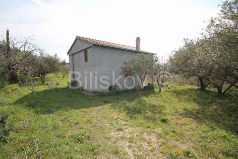 Kaštela, Kaštel Lukšić Agricultural land with a house in Kaštel Lukšić Land area: 1992m2 House area: 115m2 gross   Land dimensions approx. 100x20m Olives and cherries planted on the plot Access road 3m wide - macadam   The house was built in the roh-...