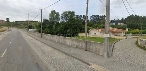 Joint sale of 2 items with a total of 750m2 located on Avenida da Portela, parish of Paços de Brandão. Flat and fully walled. In the surroundings: - 