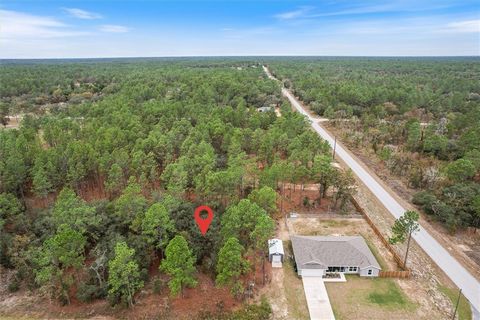 Discover your slice of paradise in Dunnellon, Florida! An acre of pristine land in a peaceful setting offers plenty of space to manifest your dream home. With room for a workshop, boat, RV & furry friends, the possibilities are endless! Just 15 minut...